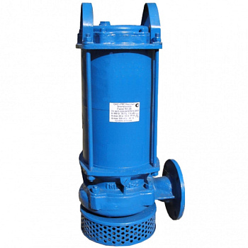 Насос 1Гном 10-6, 220 В