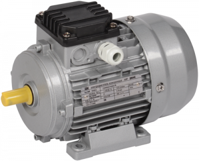 Электродвигатель АИР56В4 (iEK) 1081 - лапы