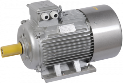 Электродвигатель АИР180M2 (iEK) 1081 - лапы