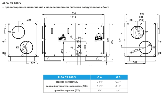 alfa85_100V_R.jpg