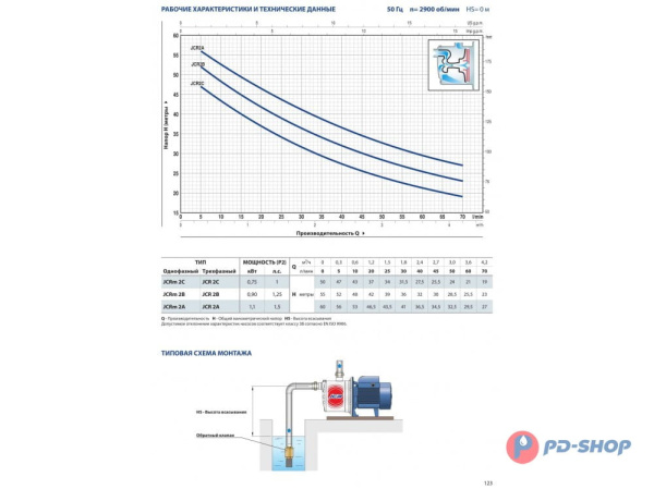 Насосная станция Pedrollo JCRm 2B 50cl с/х
