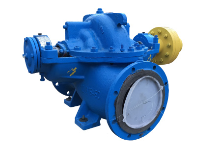 Насос 1Д315-50б